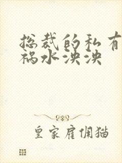 总裁的私有宝贝祸水泱泱