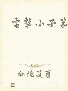 电击小子第二部