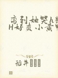 脔到她哭h粗话H好爽小黄鸭视频