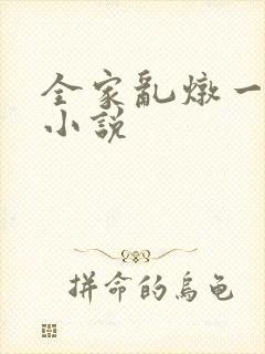 全家乱炖一锅烩小说