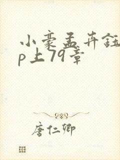 小豪孟卉钰慧三p上79章