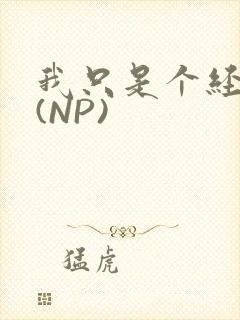 我只是个经纪人(NP)