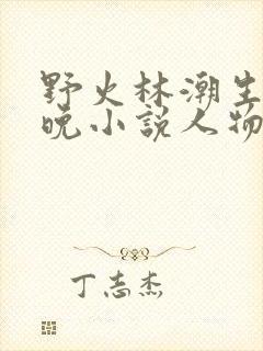 野火林潮生林晚晚小说人物野火