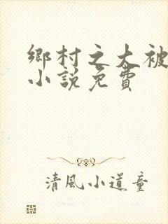 乡村之大被同眠小说免费