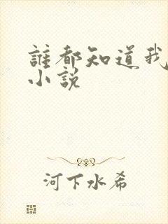 谁都知道我爱你小说