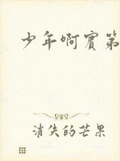 少年啊宾第二部