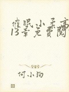 催眠小柔高达第13章免费阅读