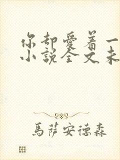 你却爱着一个他小说全文未删减免费