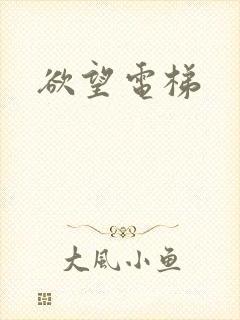 欲望电梯
