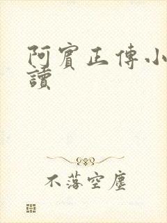 阿宾正传小说在读