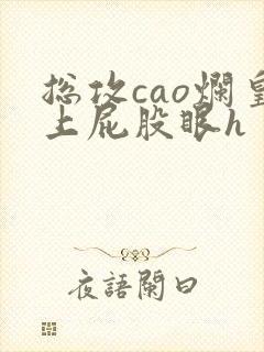 总攻cao烂皇上屁股眼h