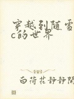 穿越到随处可以c的世界