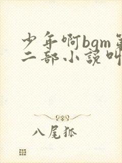 少年啊bgm第二部小说叫什么