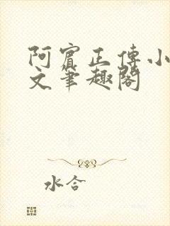 阿宾正传小说全文笔趣阁