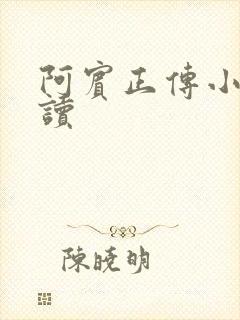 阿宾正传小说在读