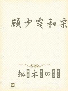 顾少霆和宋斯曼