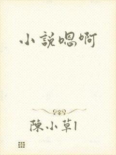 小说嗯啊