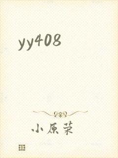yy408