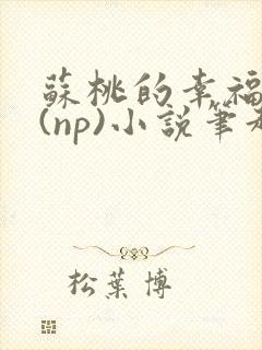 苏桃的幸福生活(np)小说笔趣阁沐沐