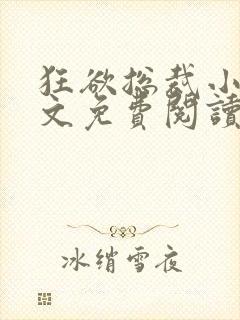 狂欲总裁小说全文免费阅读