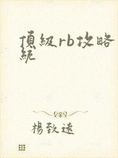 顶级rb攻略系统