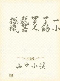 总裁买了一个男机器人的小说