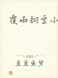 覆雨翻云小说