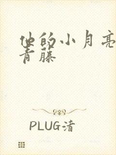 他的小月亮by青藤