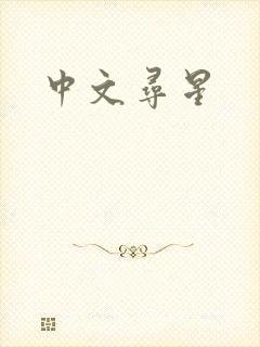 中文寻星