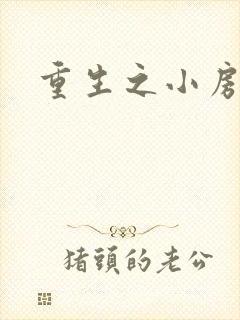 重生之小房东