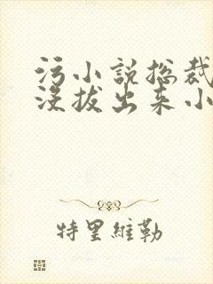 污小说总裁整夜没拔出来小说在线阅读