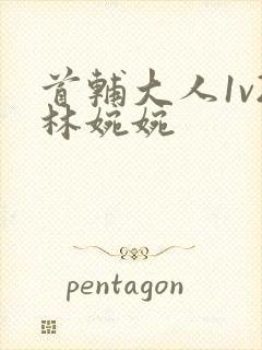 首辅大人1v2林婉婉