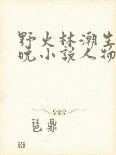 野火林潮生林晚晚小说人物野火
