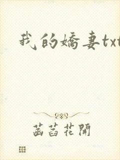 我的娇妻txt