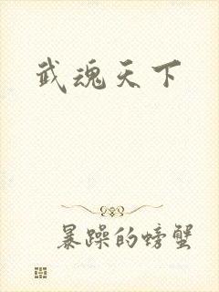 武魂天下