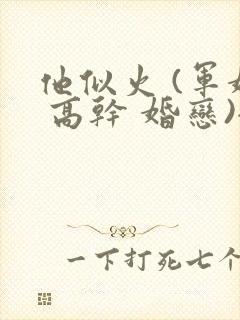 他似火 (军婚 高干 婚恋)全文免费百度云封面