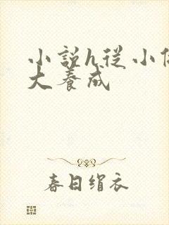 小说h从小做到大养成