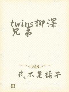 twins柳泽兄弟