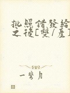 批照错发给情敌之后[双/产]