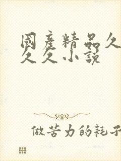 国产精品久久久久久小说