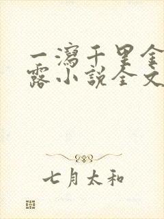 一泻千里金银花露小说全文免费阅读