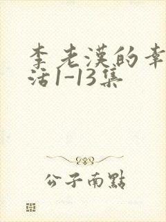 李老汉的幸福生活1-13集