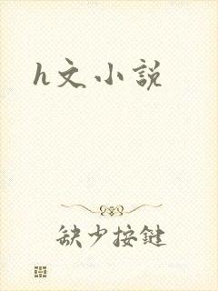 h文小说