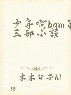少年啊bgm第三部小说