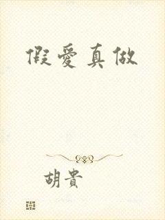 假爱真做