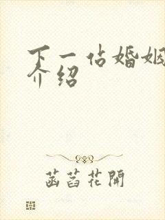 下一站婚姻剧情介绍