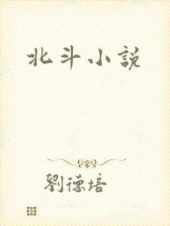 北斗小说