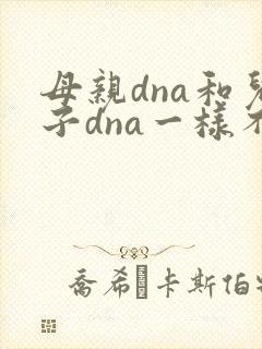 母亲dna和儿子dna一样不