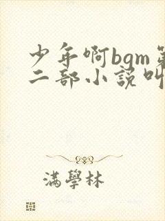 少年啊bgm第二部小说叫什么
