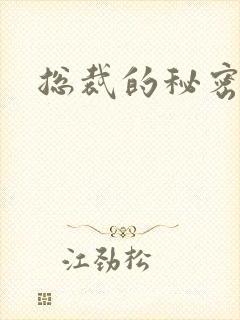 总裁的秘密情人